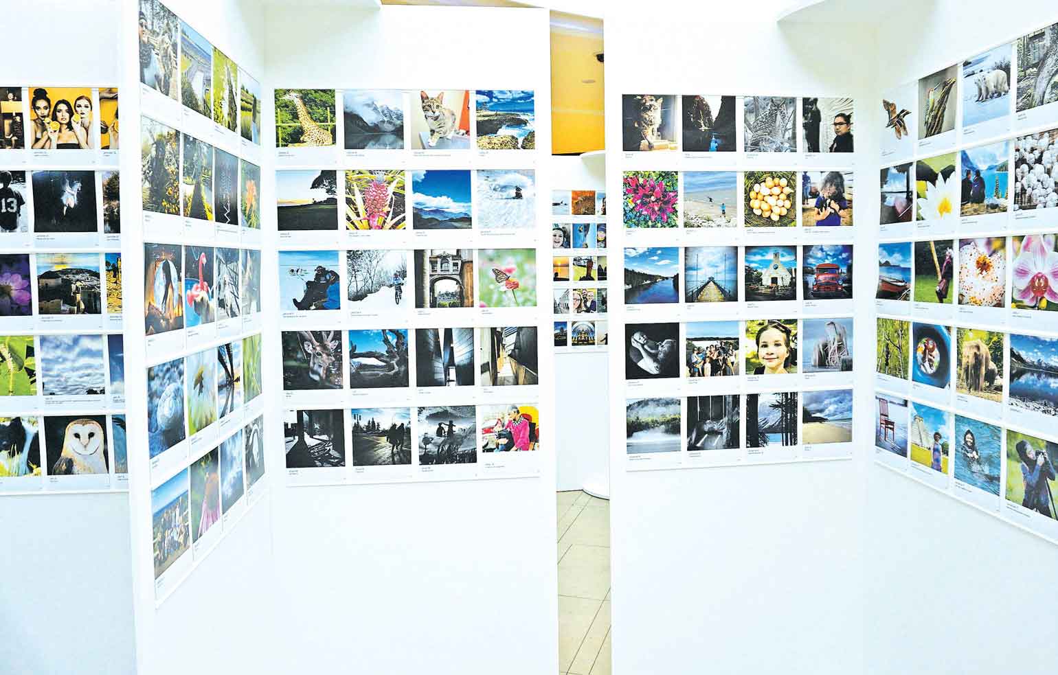 printlife photo exhibition