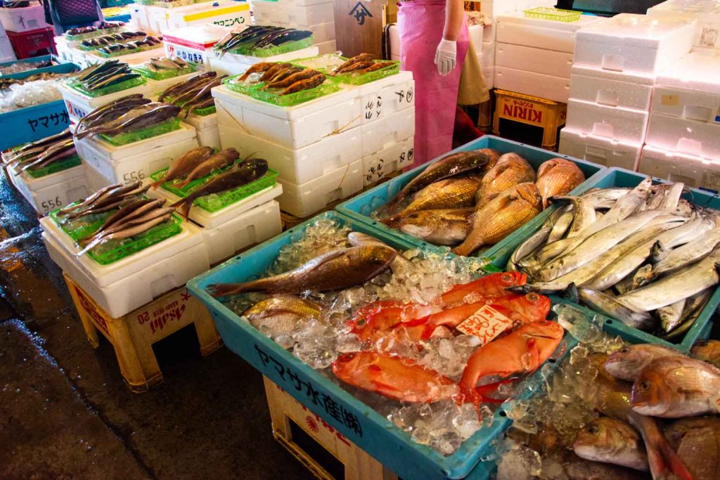 explore-nakaminato-fish-market-in-hitachinaka-japan-a-hidden-gem-for