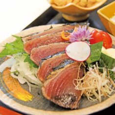 Taste Kochi with All Five Senses: Local Dishes, Sake & Culture at Taro’s Fish in Toronto